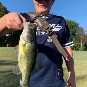 Meet your Posher, Braxton